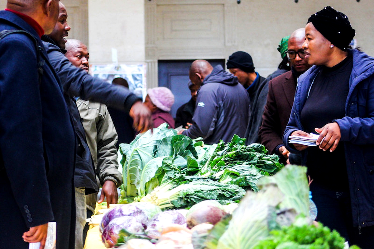 Experts aim to transform agriculture sector