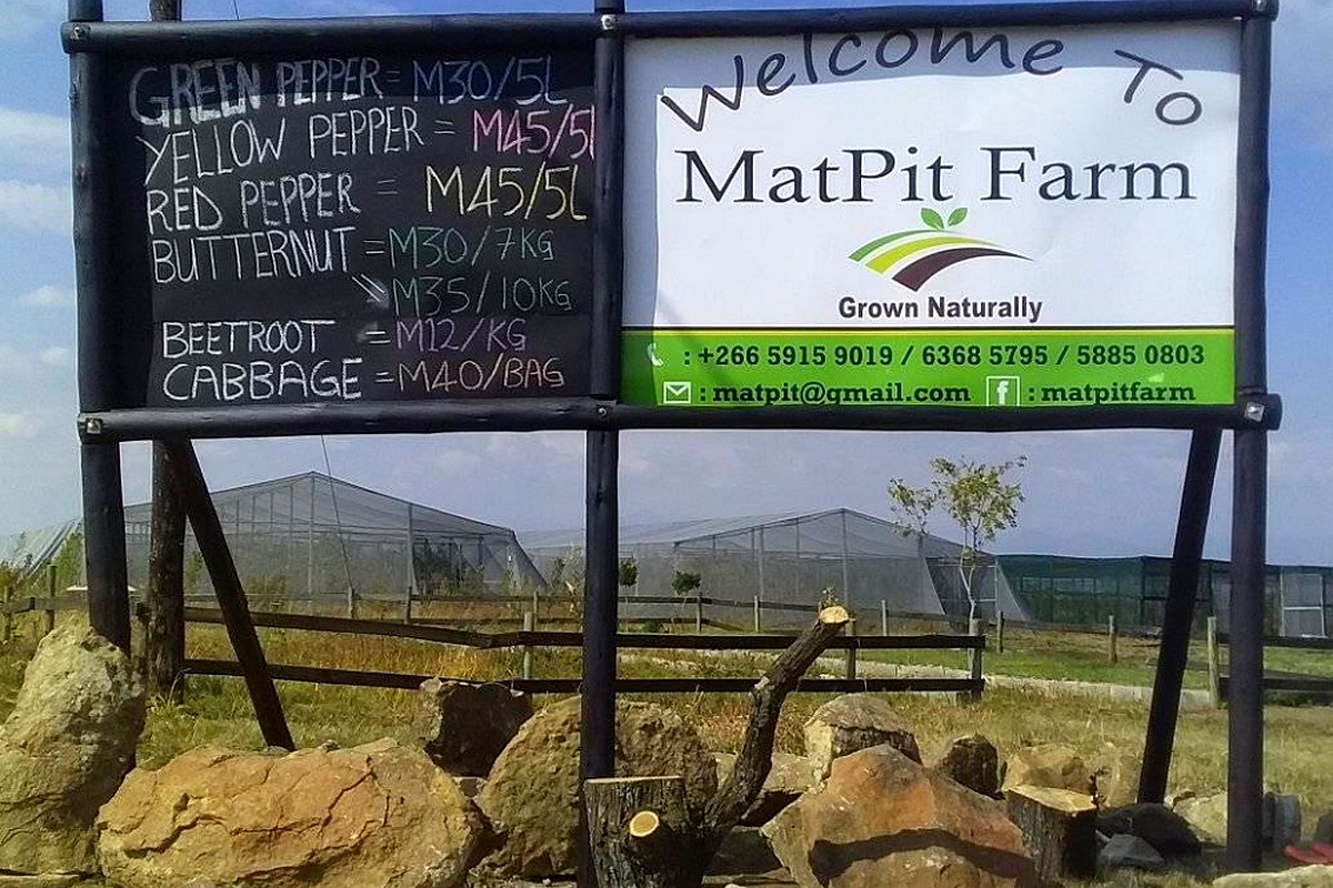 Meet the man who manages the Matpit farm