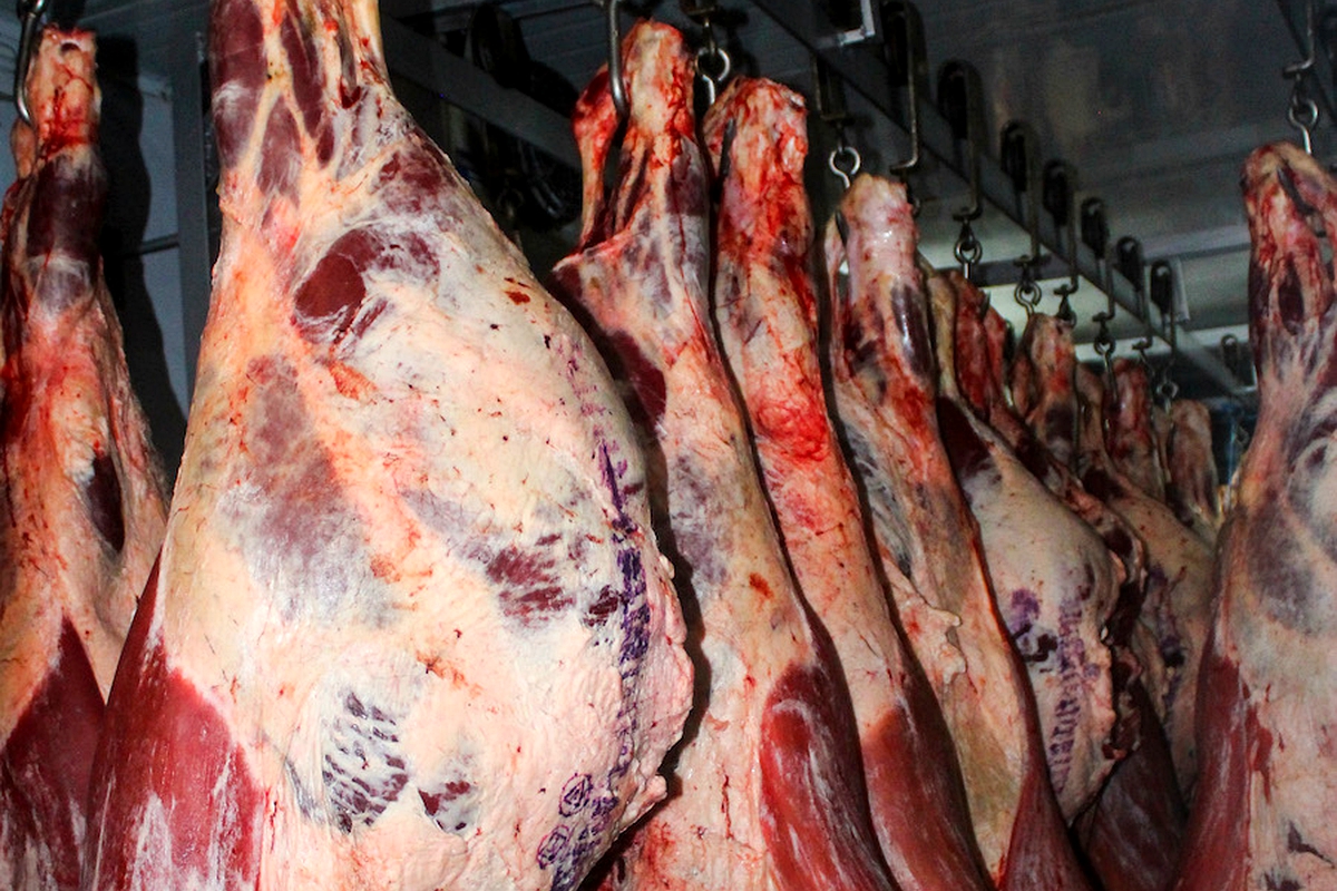 Meat processing plant unveiled