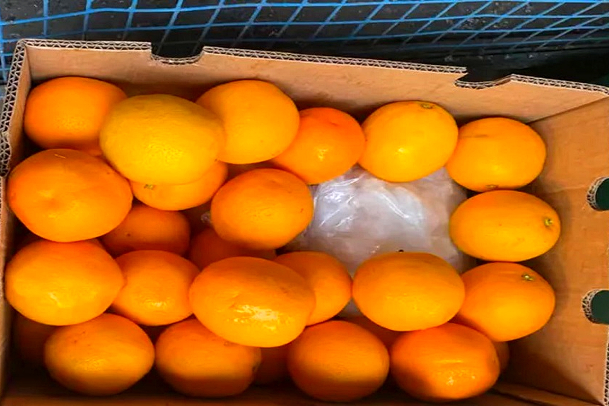 Tik, cocaine worth billions found in fruit consignments from SA to India