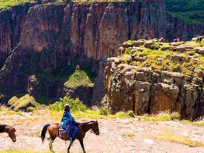 COVID-19 travel restrictions devastate tourism